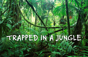 Trapped in a Jungle Escape Room Thumbnail