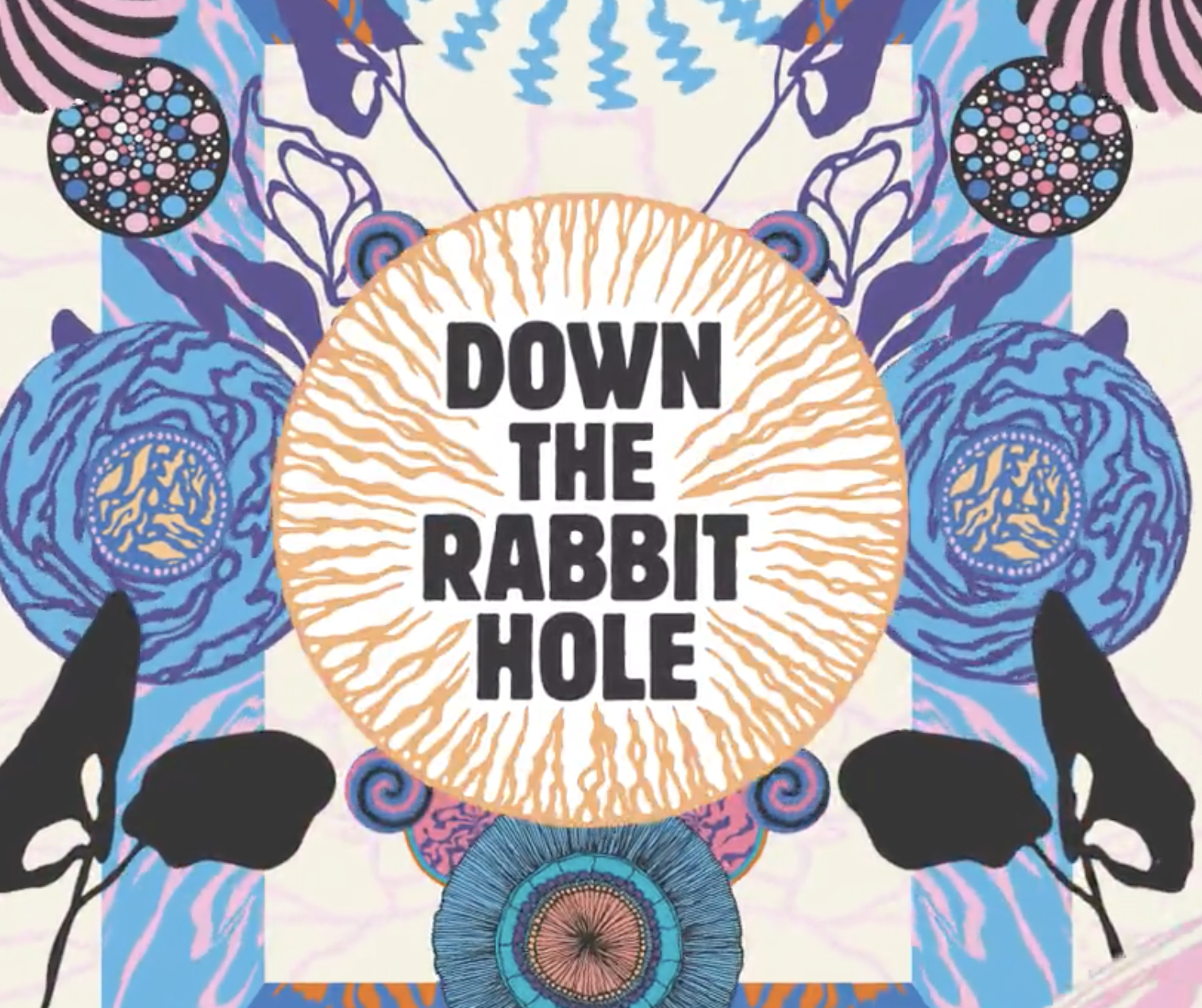 Down the Rabbit Hole